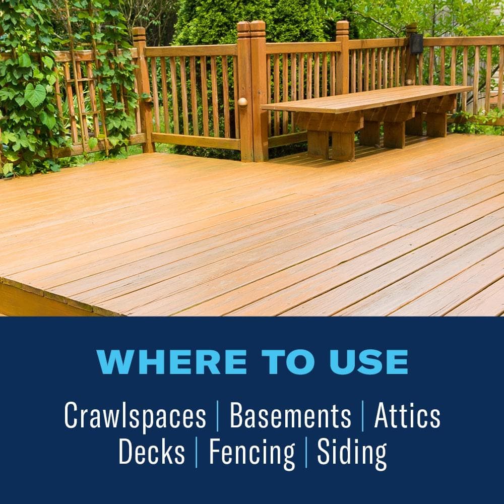 18 oz. Ready-to-Use Termite and Carpenter Bee Insect Killer Foam - Hercitys