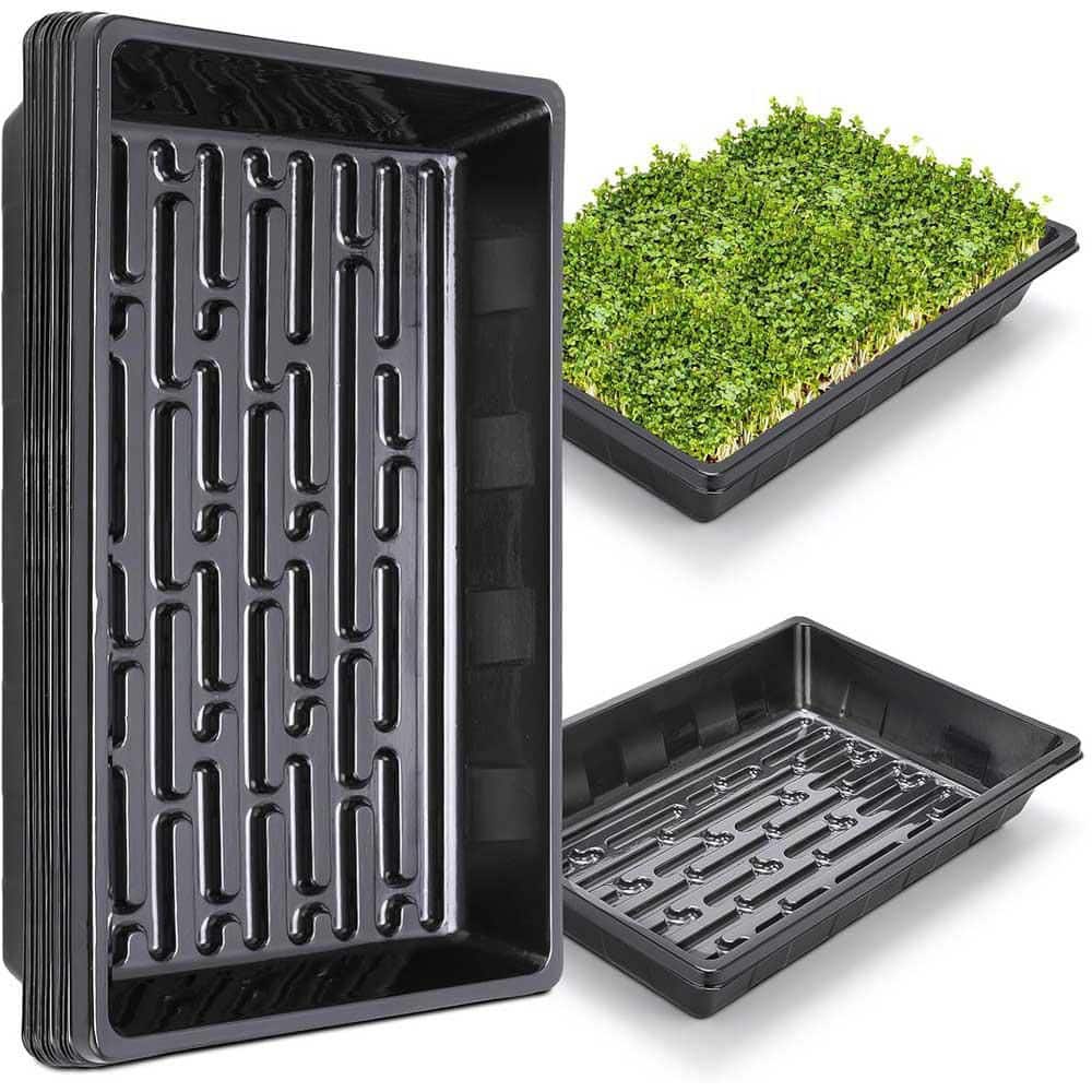 10-Pack Plant Growing Trays Reusable Durable Plastic No Holes Microgreens Seed Starter Transplant Flats - Hercitys