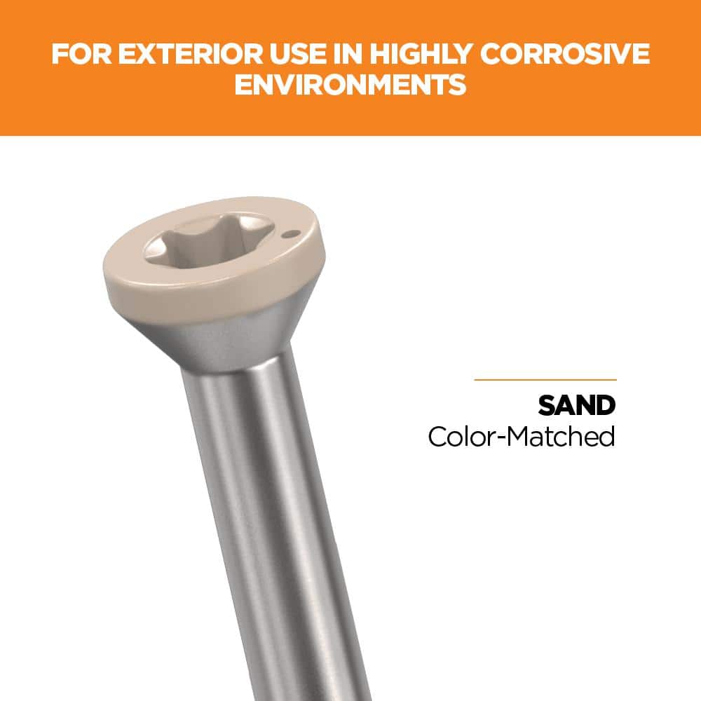 1-5/8 in. #8 316 Stainless Steel Sand Premium Star Drive Trim Screws (350-Count) - Hercitys