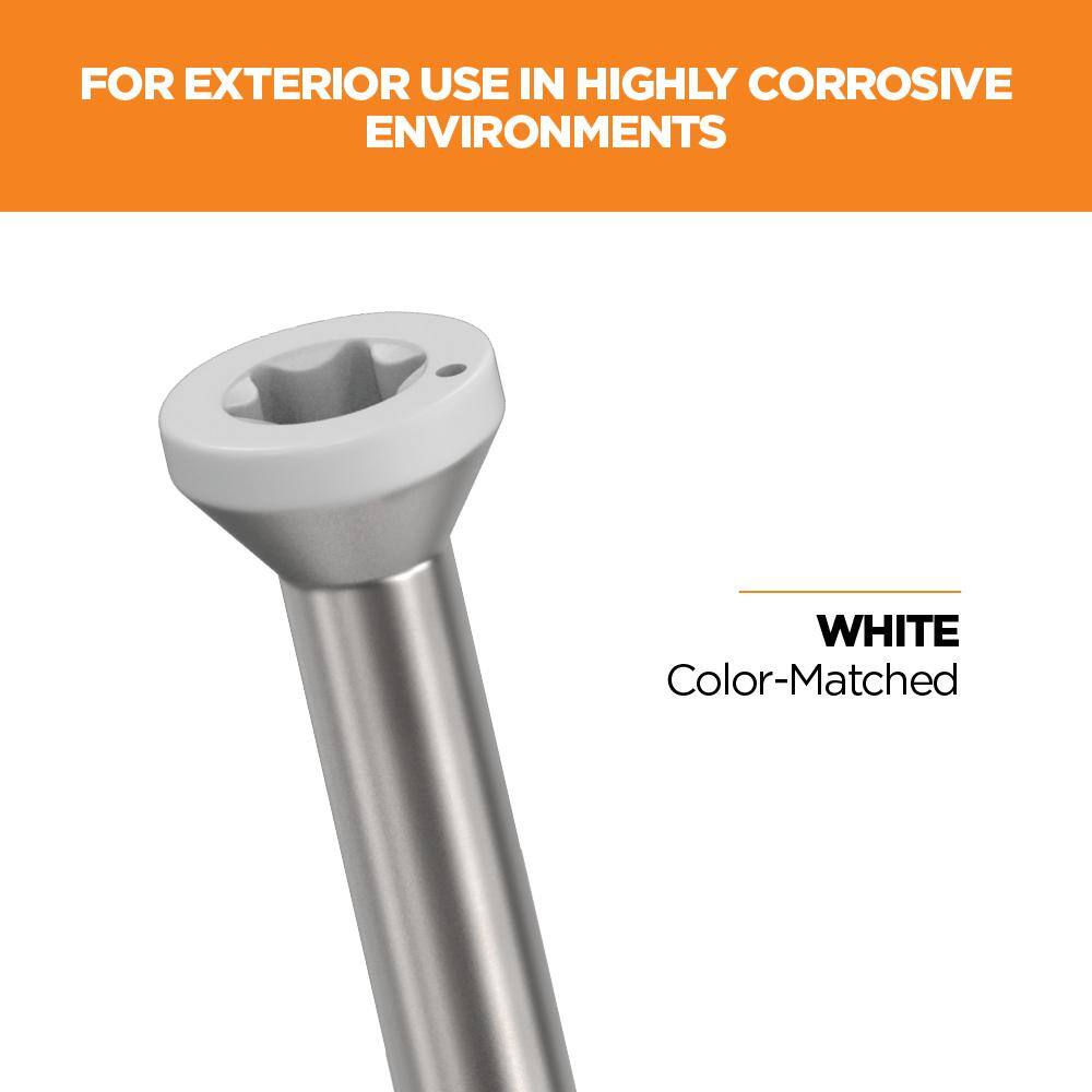 1-5/8 in. #8 316 Stainless Steel White Premium Star Drive Trim Screws (100-Count) - Hercitys